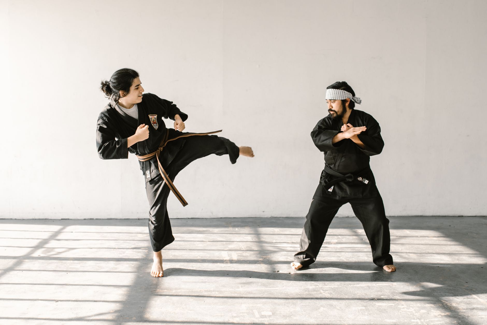 Artes marciales y combate, entrenamiento en dojo