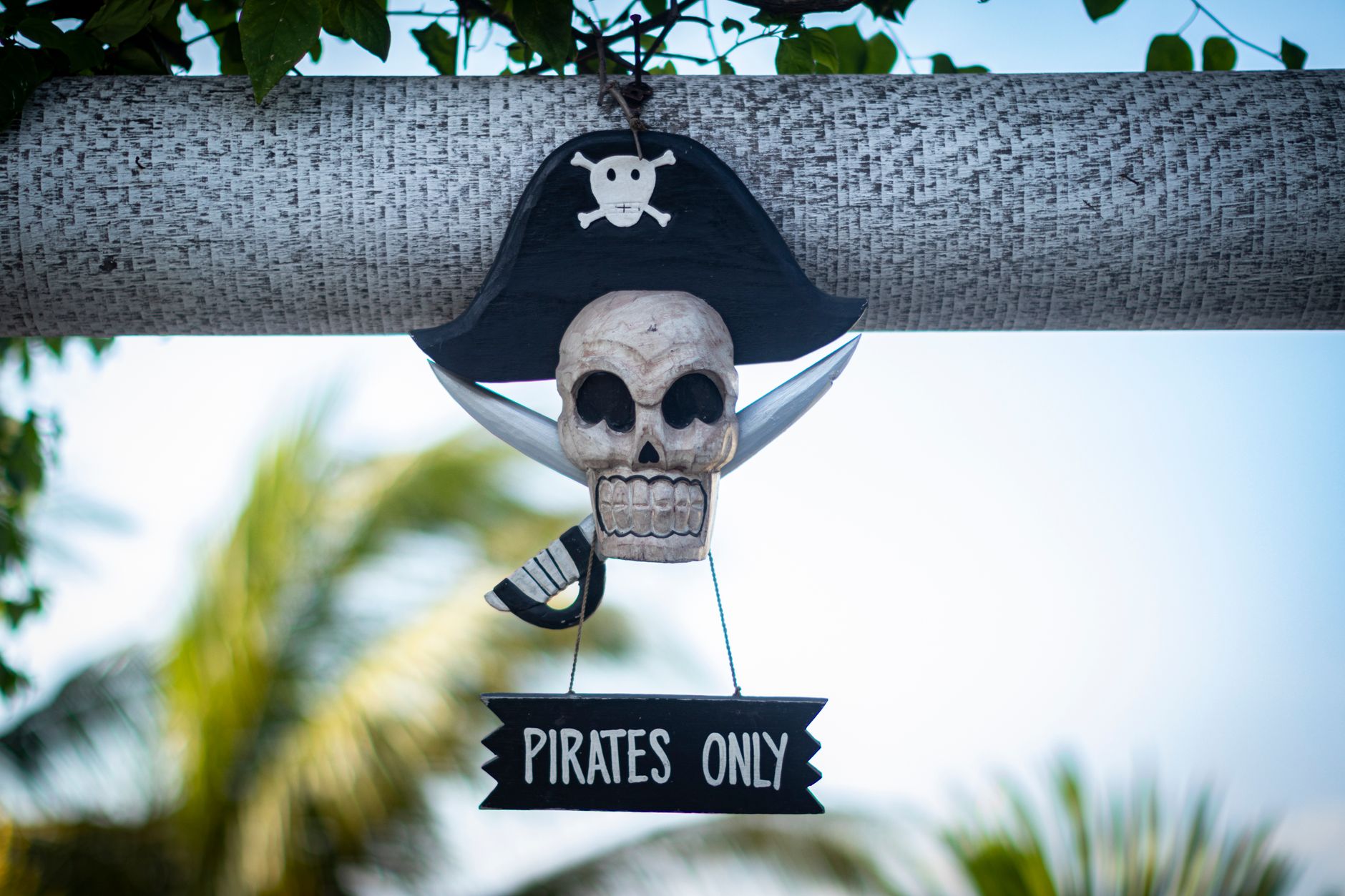 Figurines et manga d'anime pirate sur étagère de collectionneur