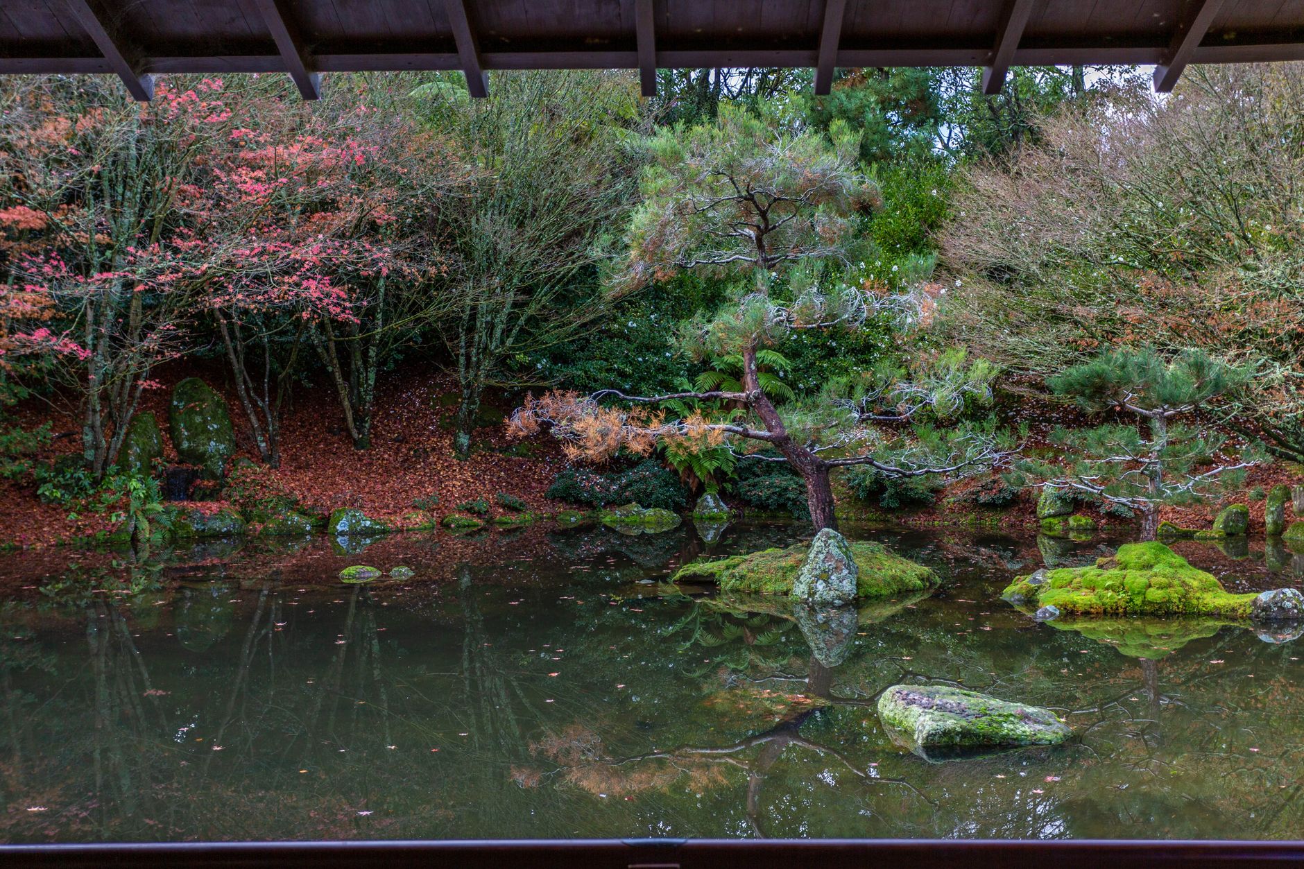 Jardín zen japonés con piedras cubiertas de musgo y hojas de otoño