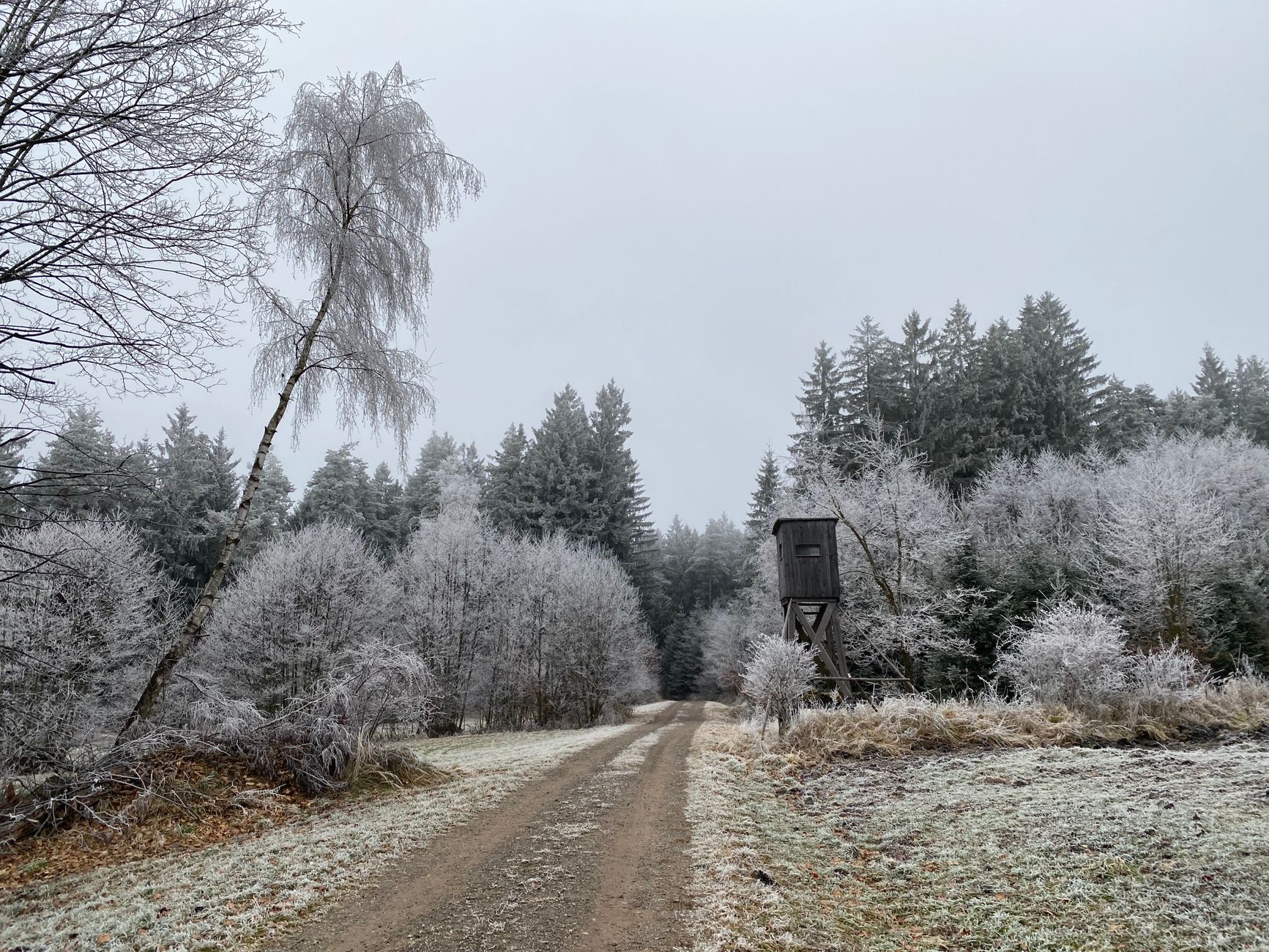 Aventurier explorant un sentier en foret