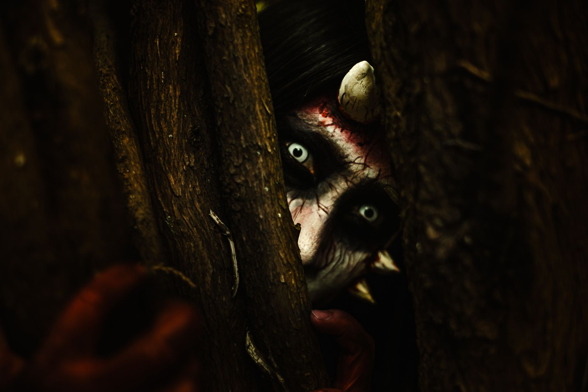 I migliori anime horror: scene inquietanti da Another, Parasyte e Shiki