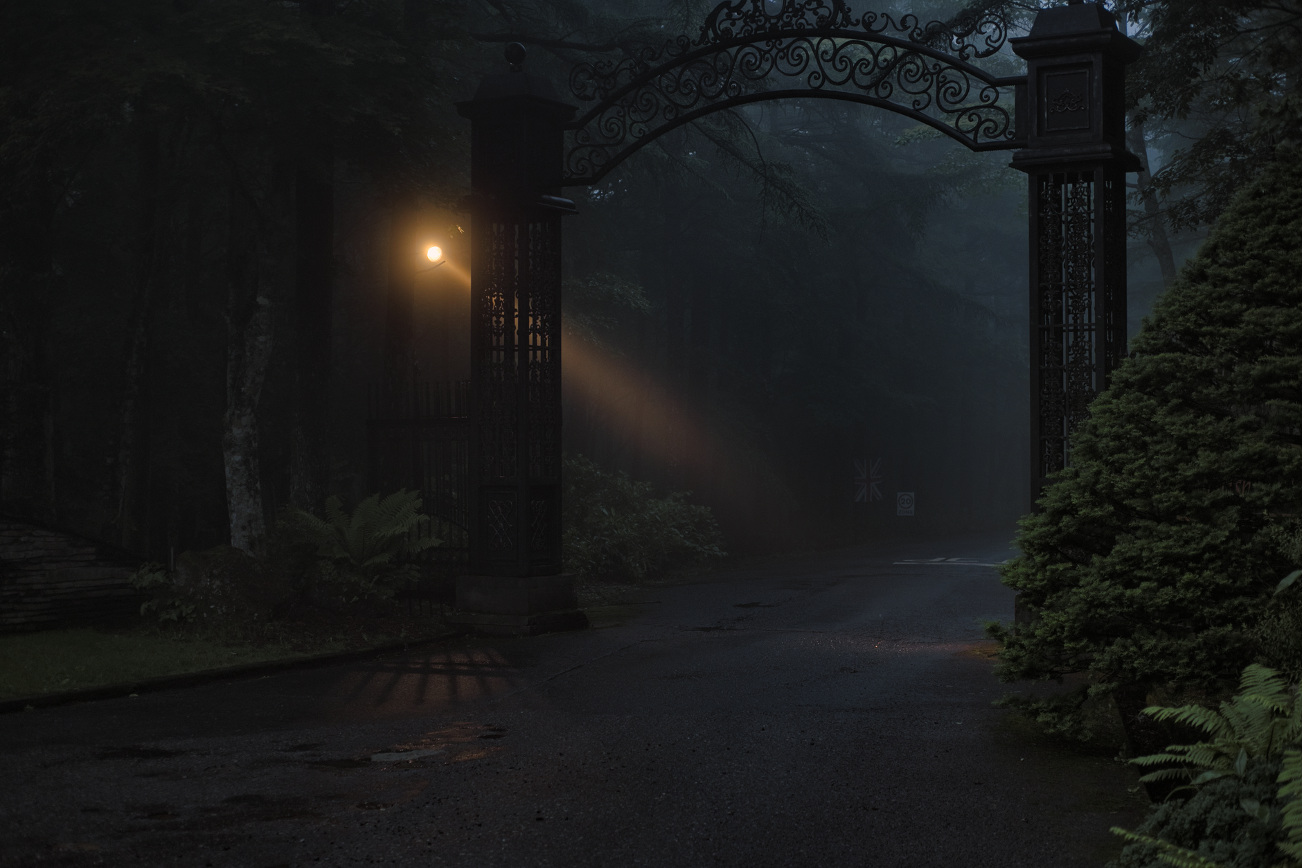 Guide correlate agli anime horror: dove trovare i migliori titoli del genere su Crunchyroll e Netflix