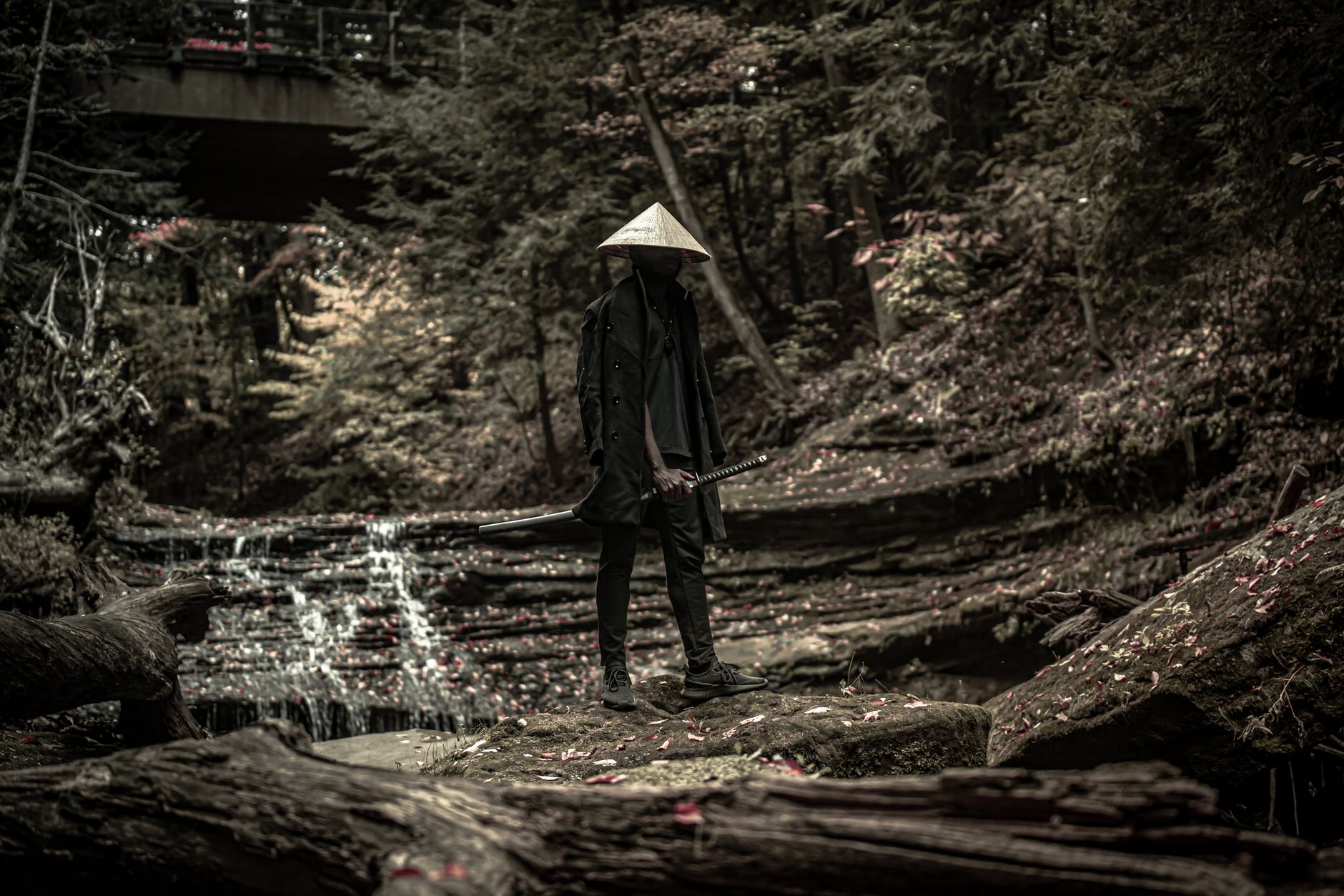 Bamboo forest path in Japan (illustrative image)