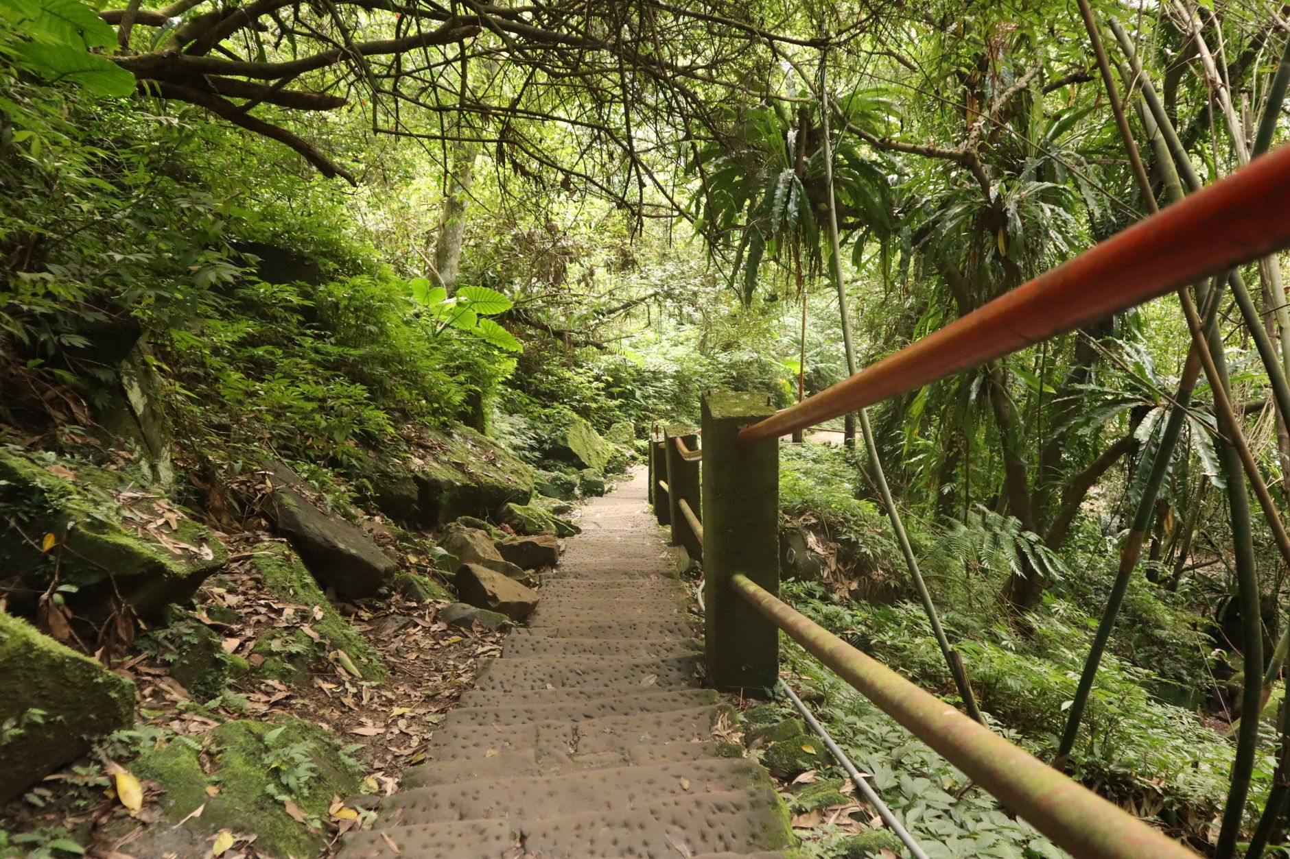 Jungle explorer adventure trail (image illustrative)