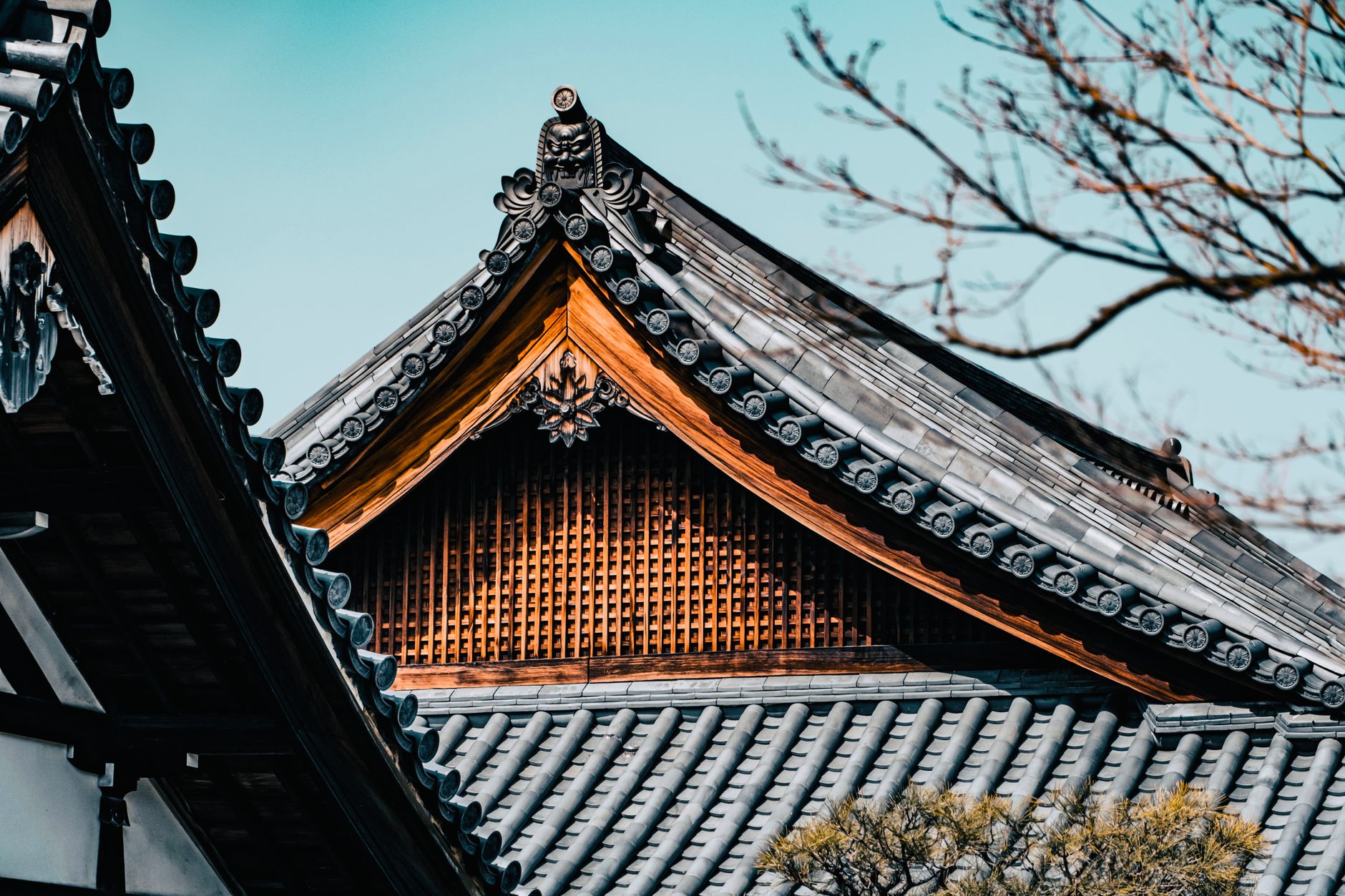 Templo japonés tradicional entre vegetación, arquitectura sagrada