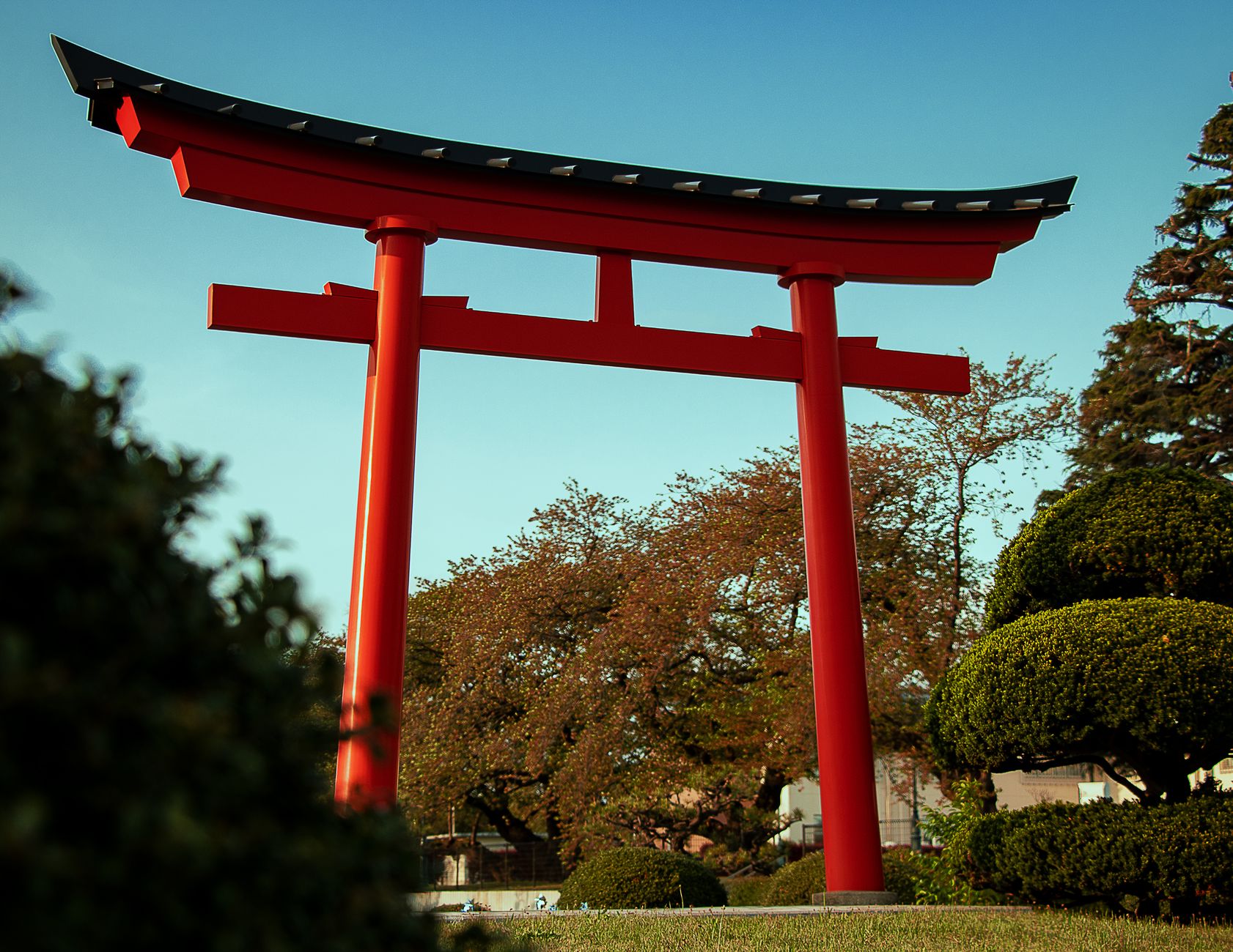 Torii gate of a Shinto shrine among trees, the kind of setting where Inuyasha's miko serve